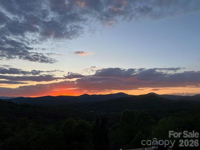 116 Dalya Road - Photo 44