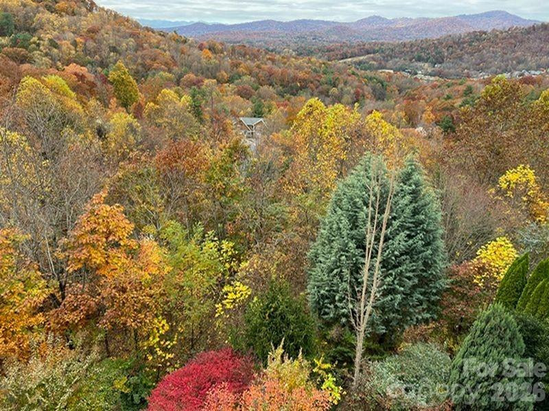 116 Dalya Road - Photo 45