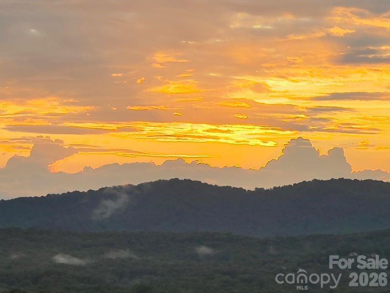 116 Dalya Road - Photo 47