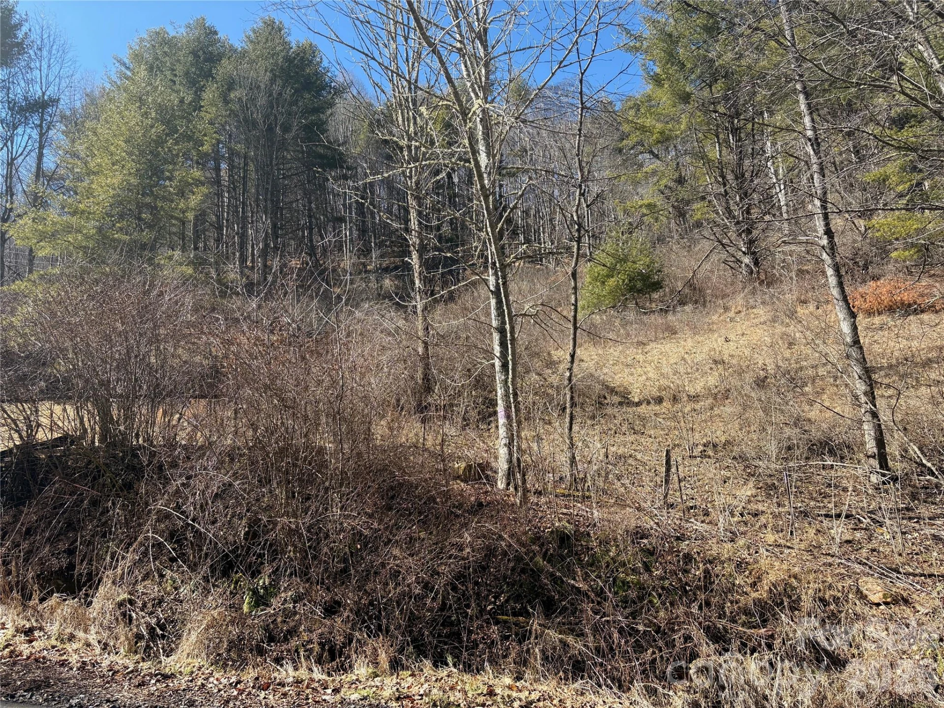 9999 Bee Log Road - Photo 2
