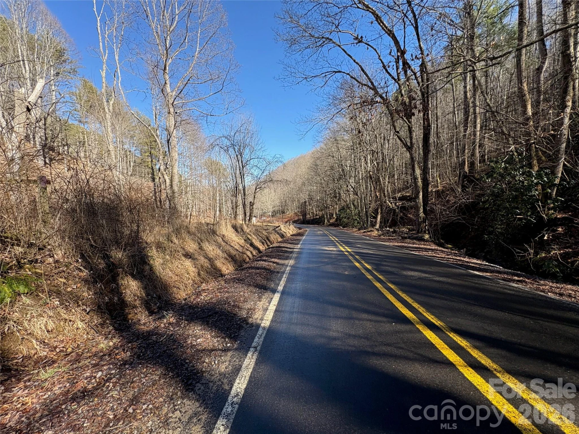 9999 Bee Log Road - Photo 11