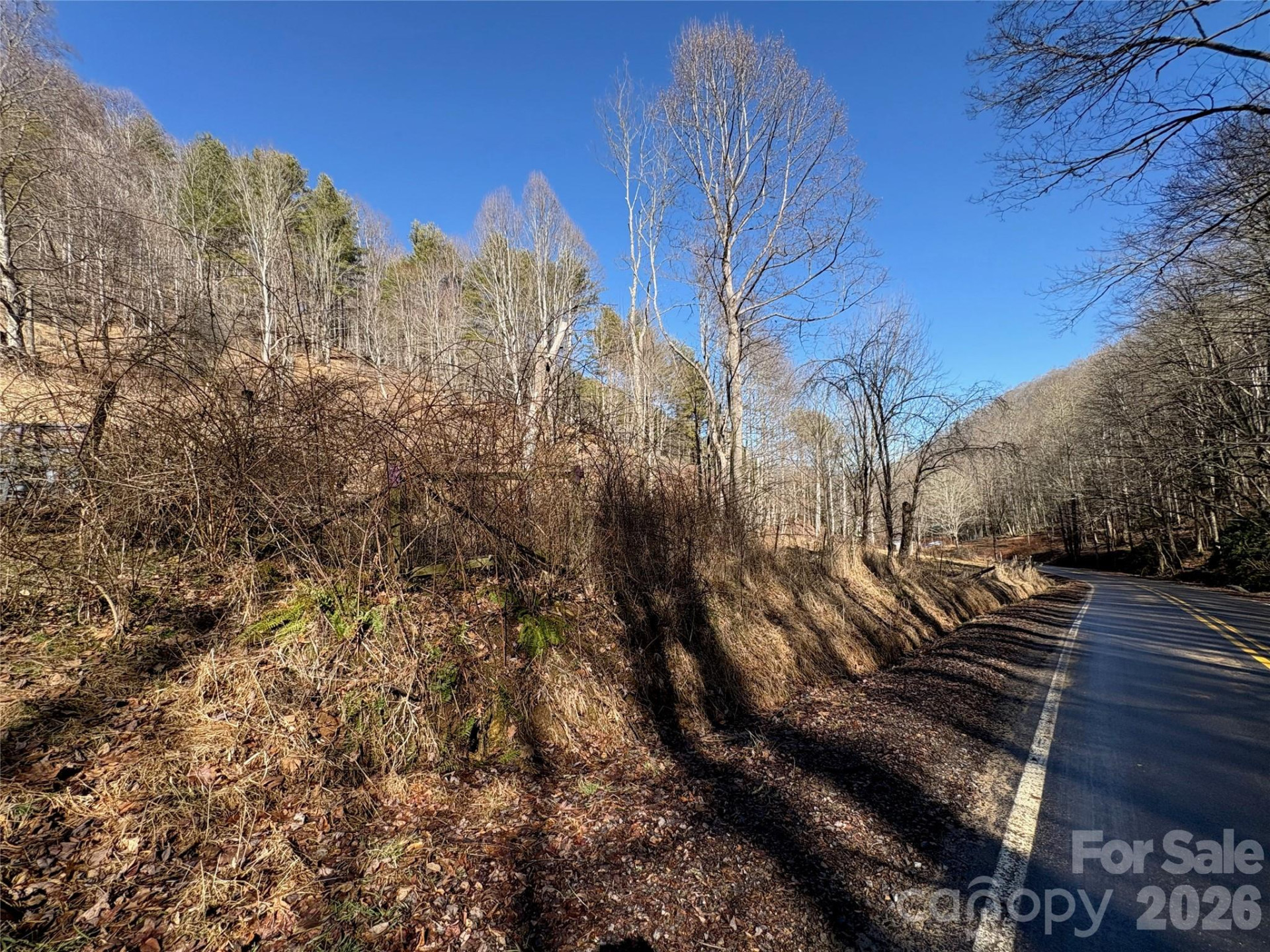 9999 Bee Log Road - Photo 12