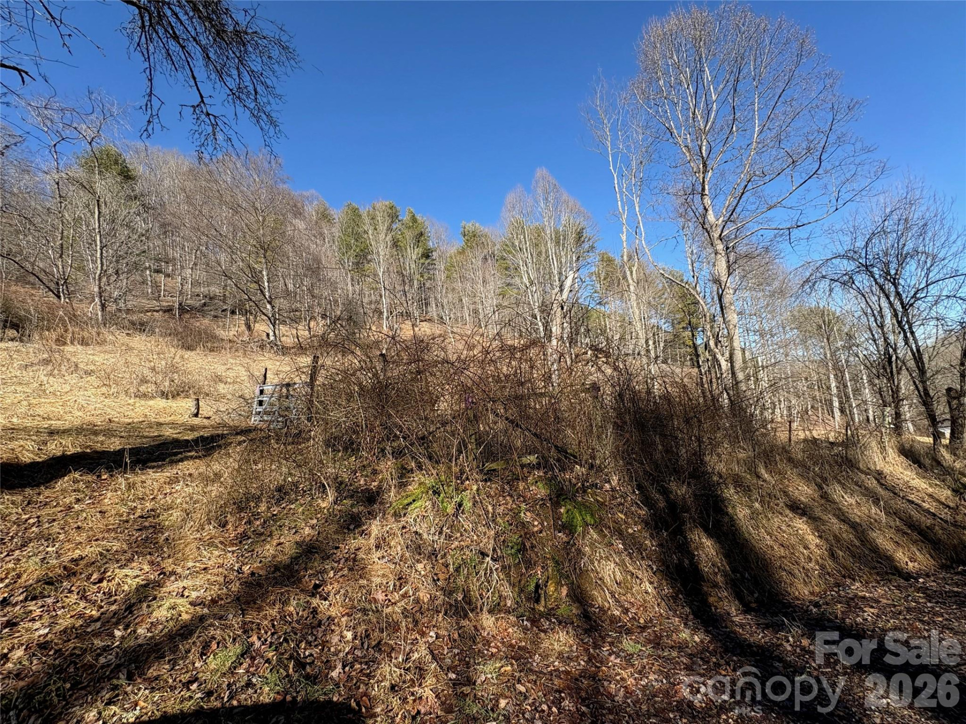 9999 Bee Log Road - Photo 13