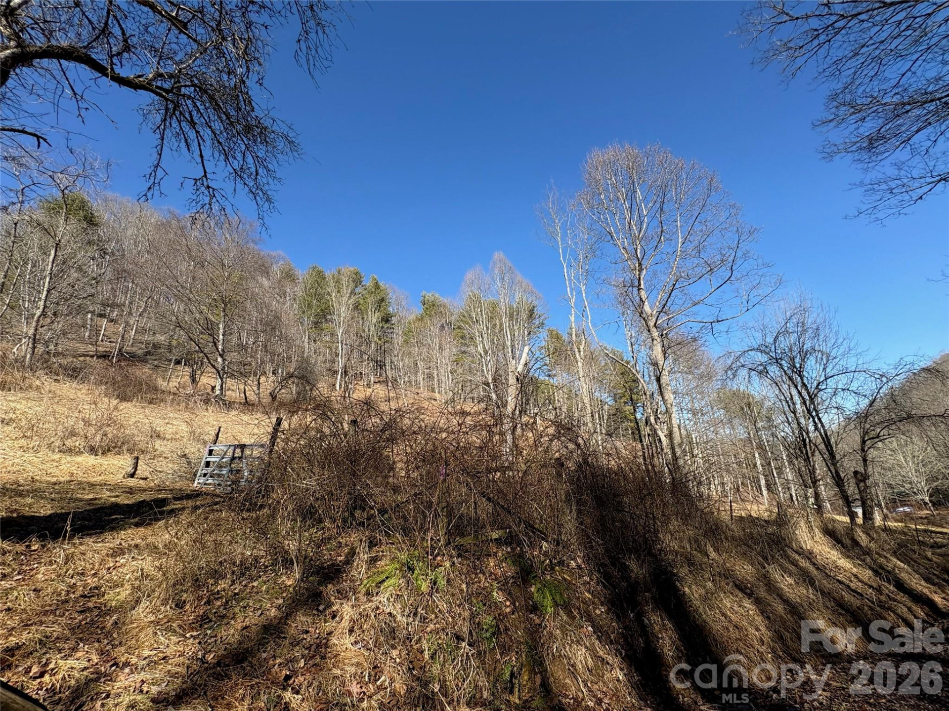 9999 Bee Log Road - Photo 14