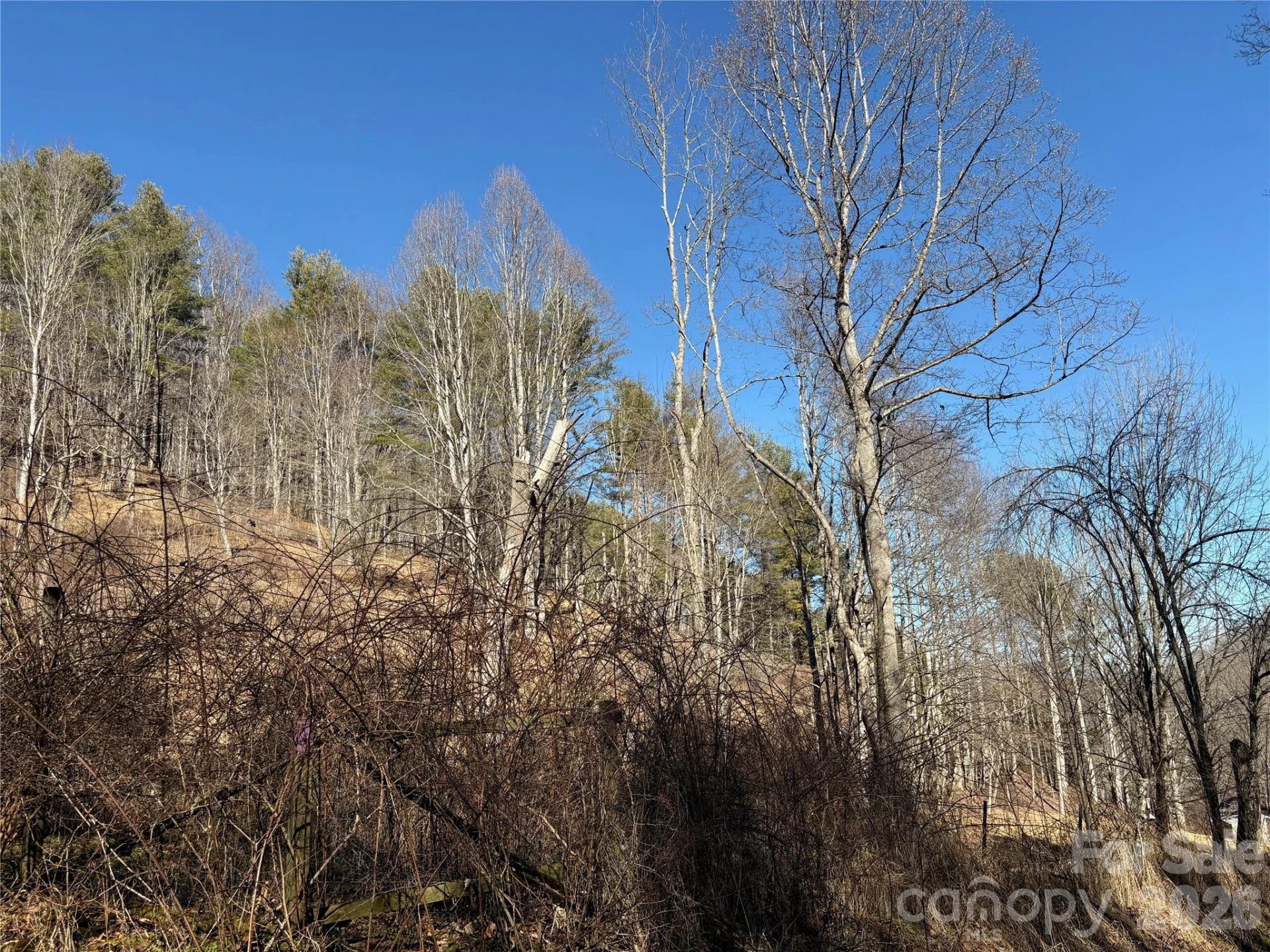 9999 Bee Log Road - Photo 15