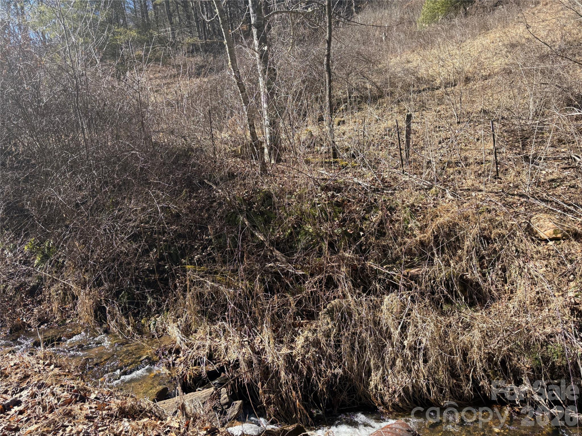 9999 Bee Log Road - Photo 16