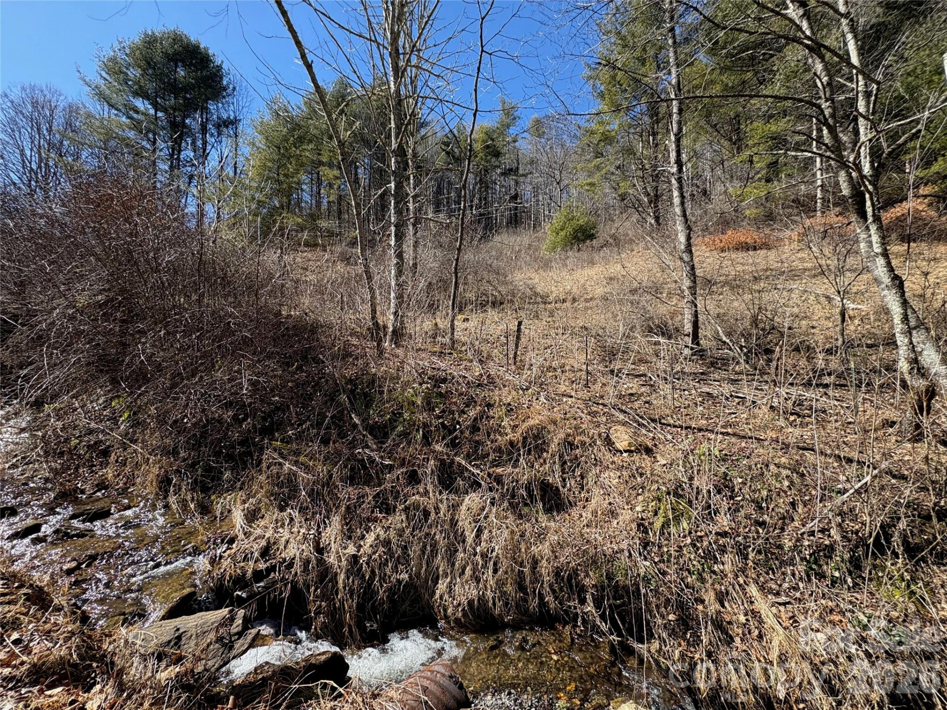 9999 Bee Log Road - Photo 3