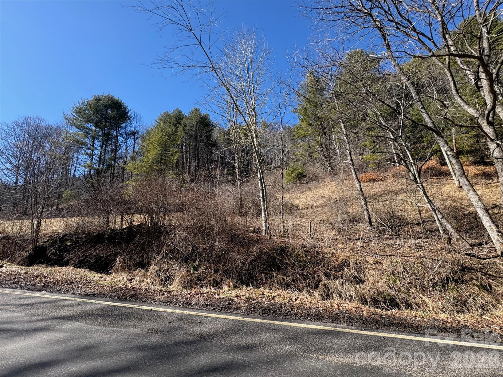 9999 Bee Log Road - Photo 4