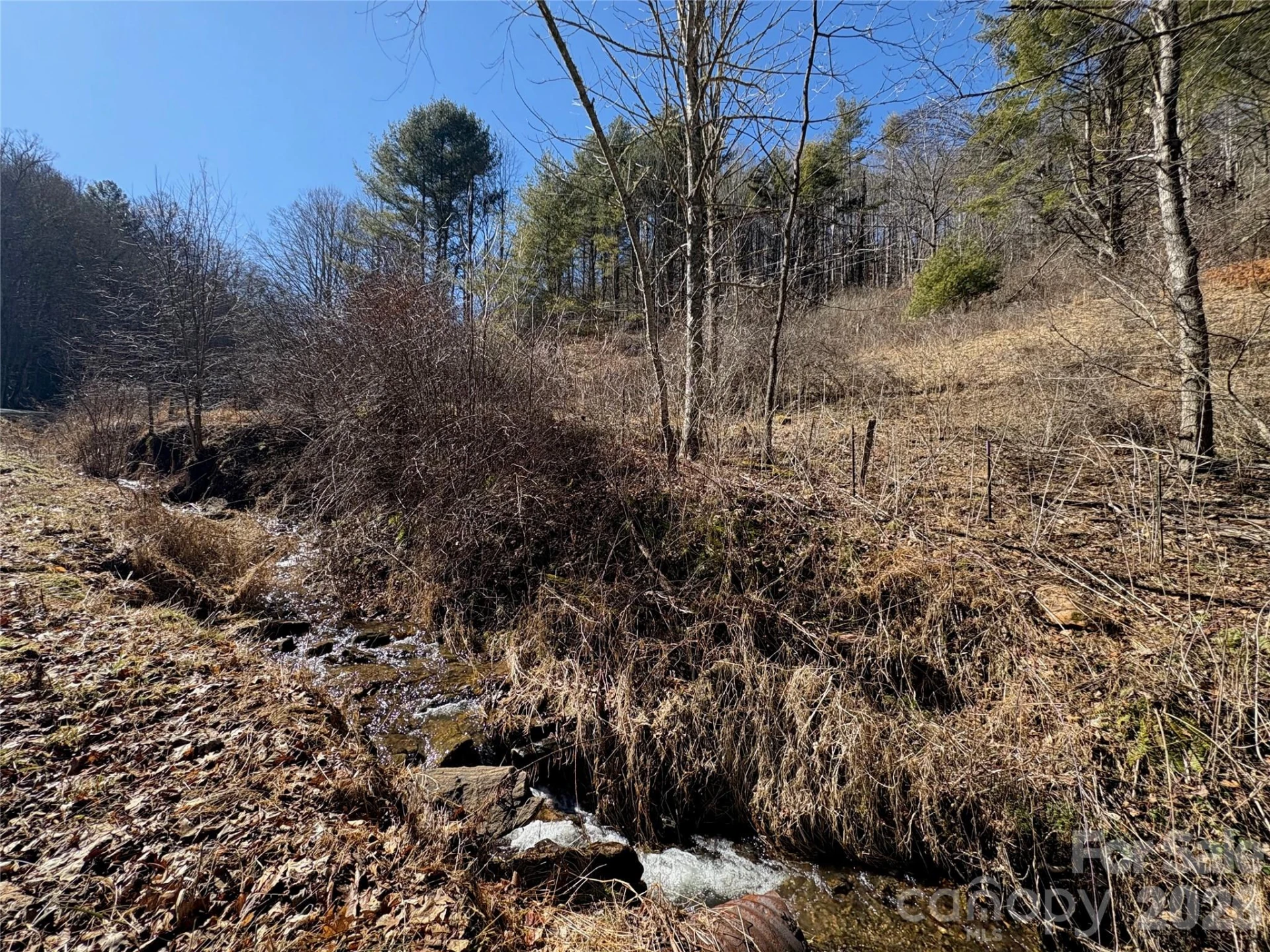 9999 Bee Log Road - Photo 5