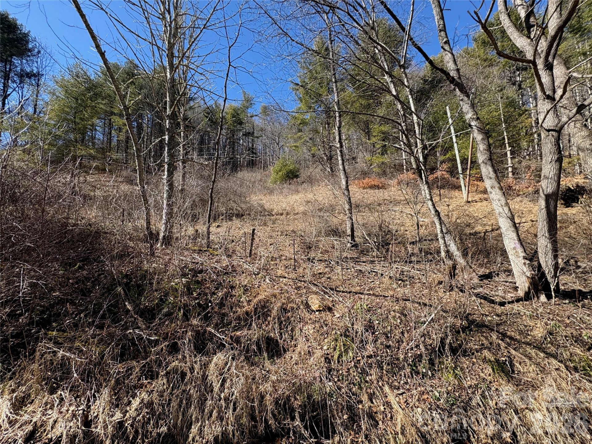 9999 Bee Log Road - Photo 6