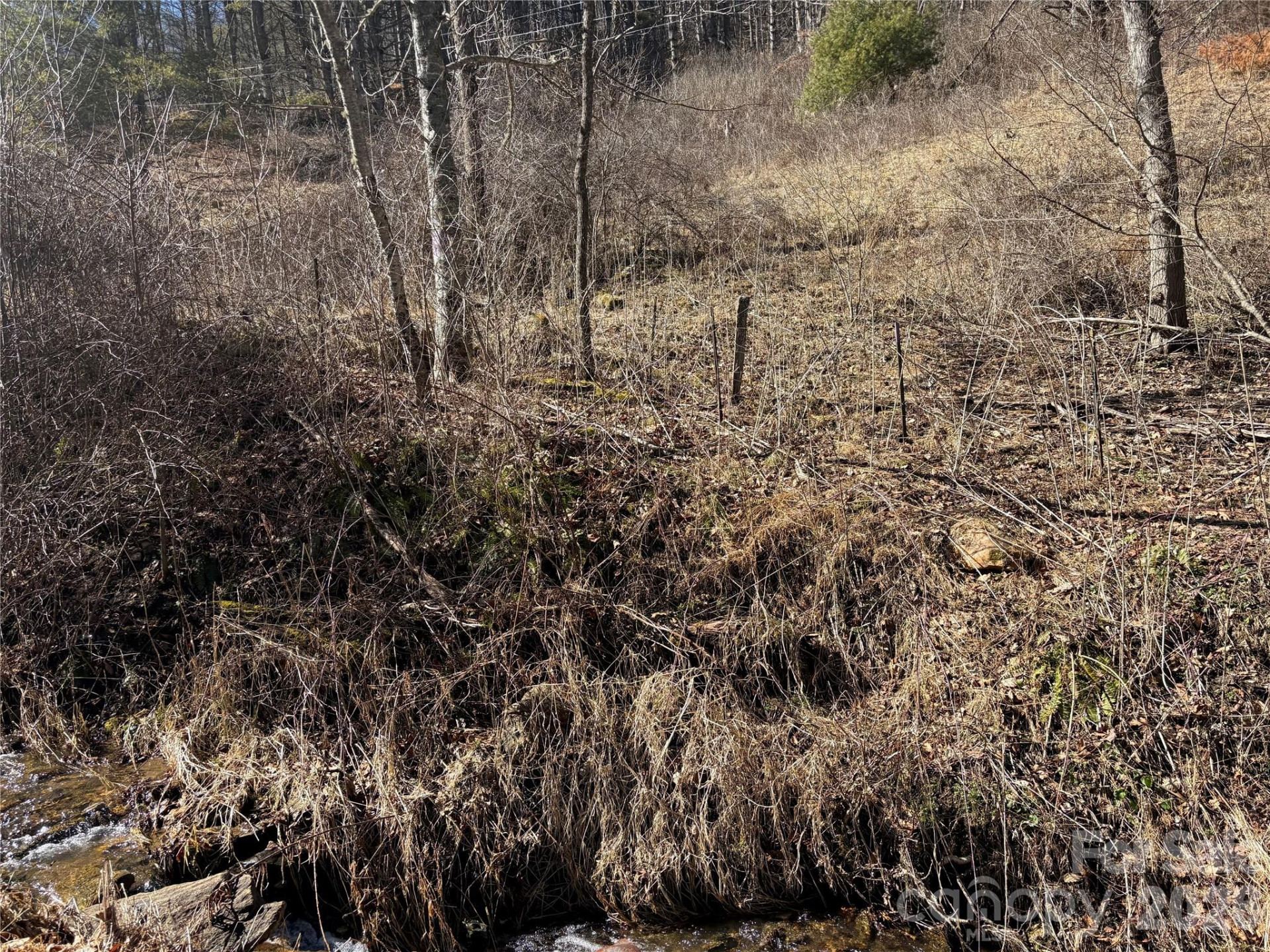 9999 Bee Log Road - Photo 7