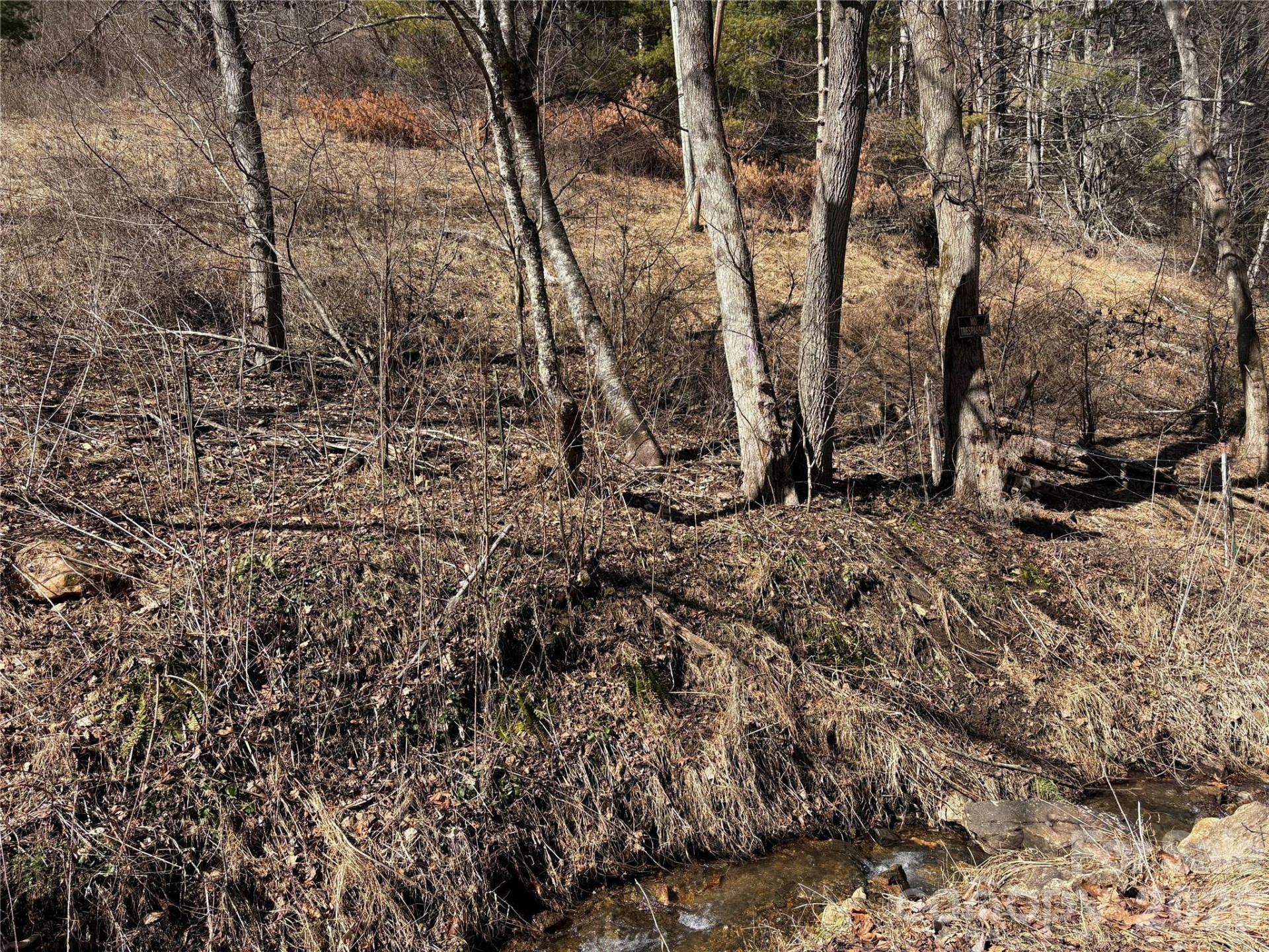 9999 Bee Log Road - Photo 8