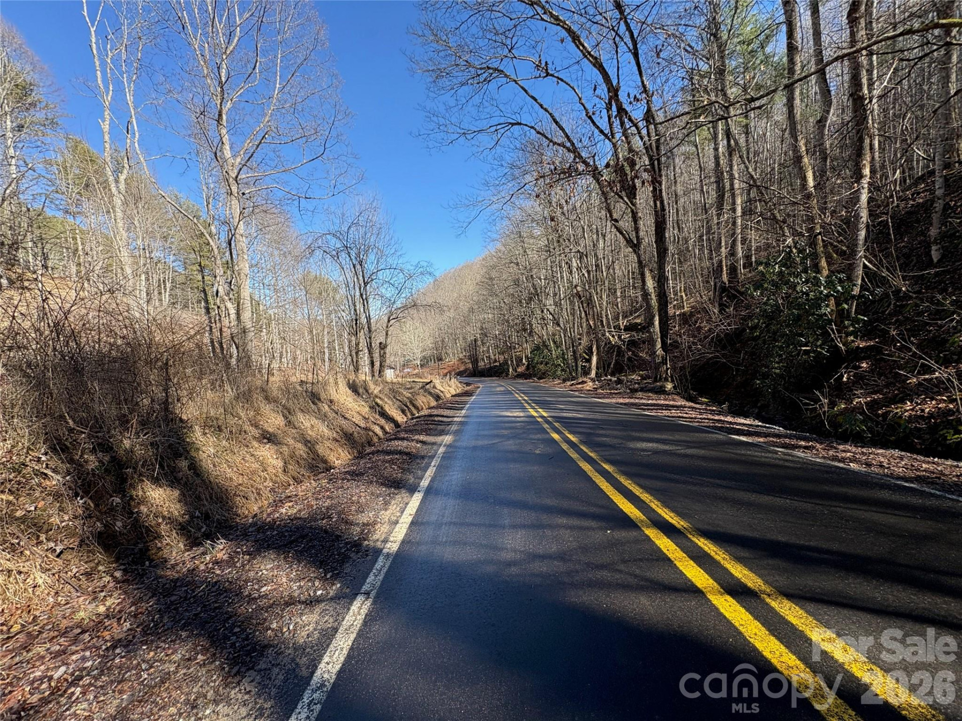 9999 Bee Log Road - Photo 9