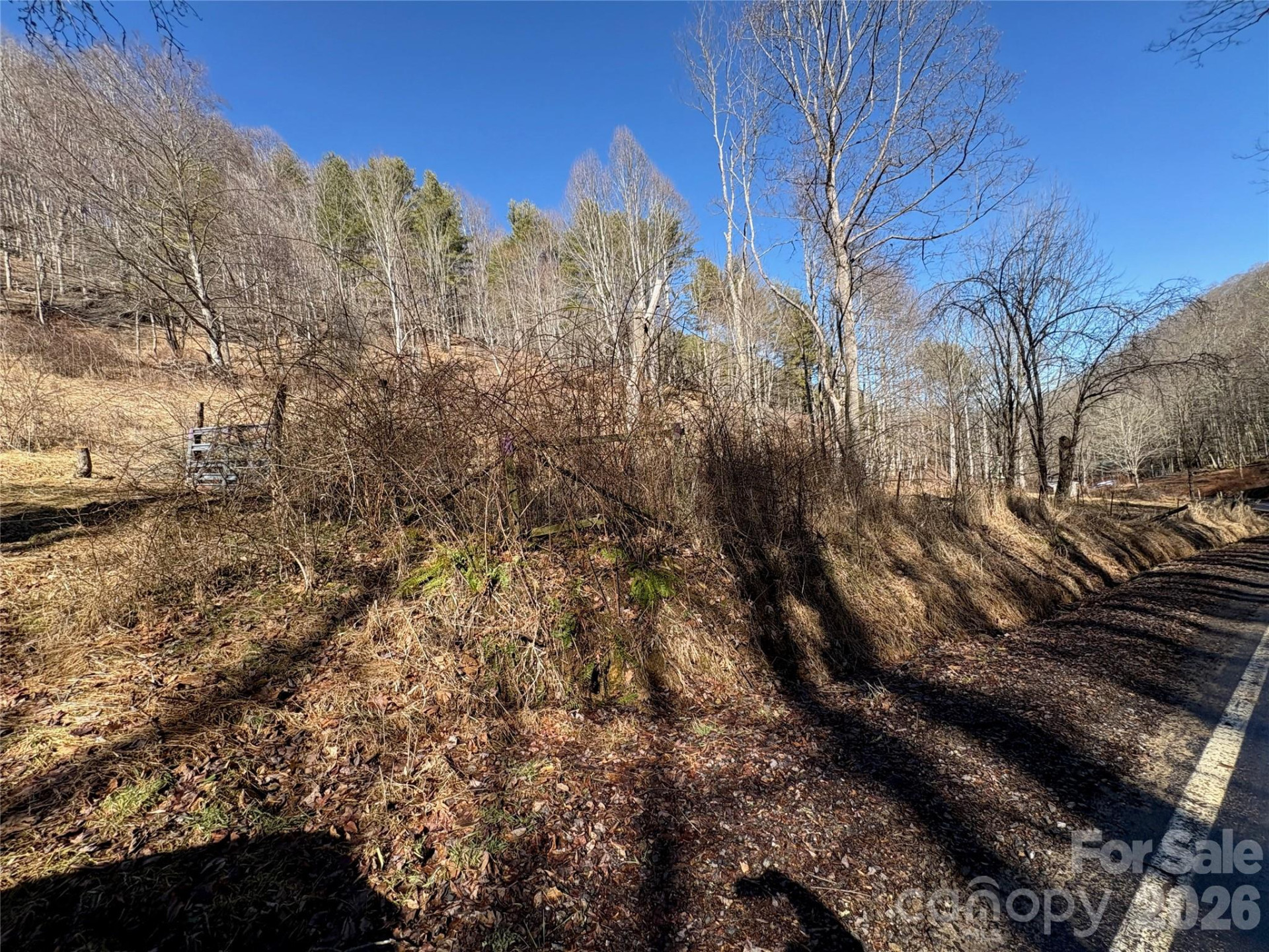 9999 Bee Log Road - Photo 10