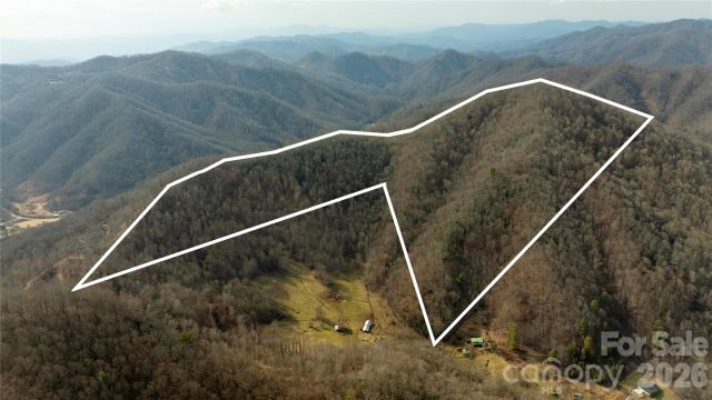 0000 Devils Knob Road, Mars Hill, NC, 28754