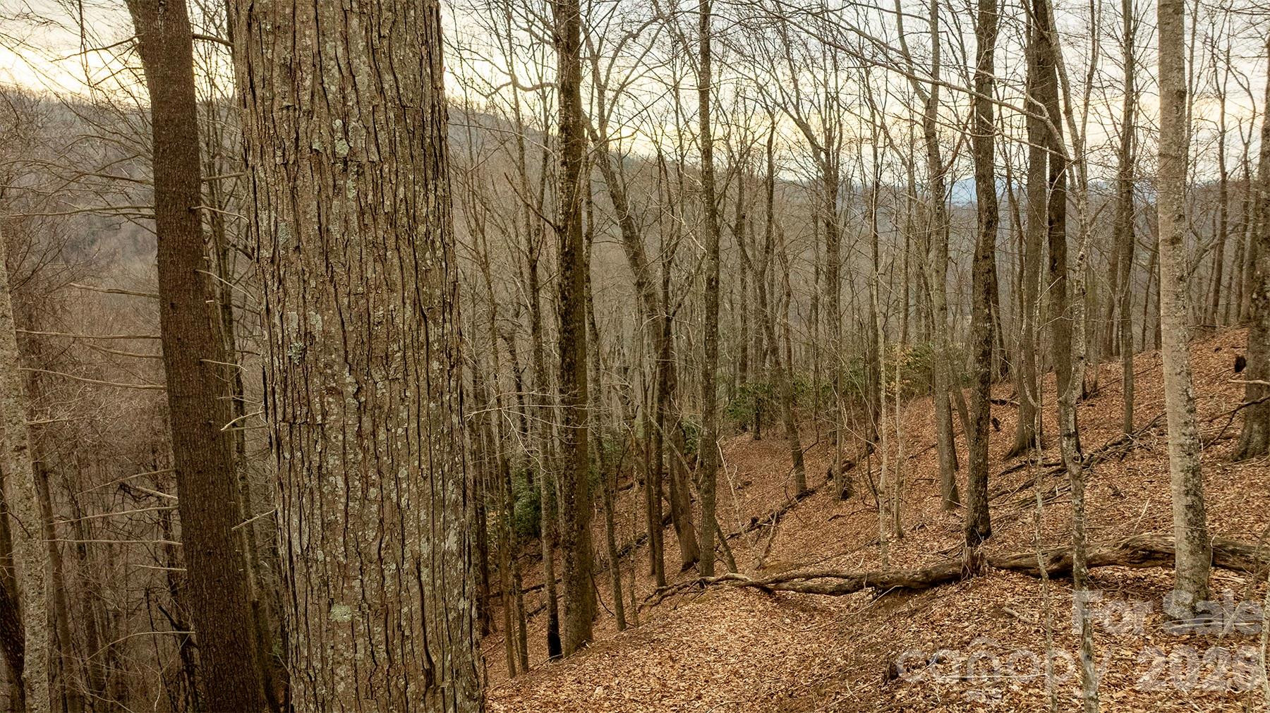 0000 Devils Knob Road - Photo 12