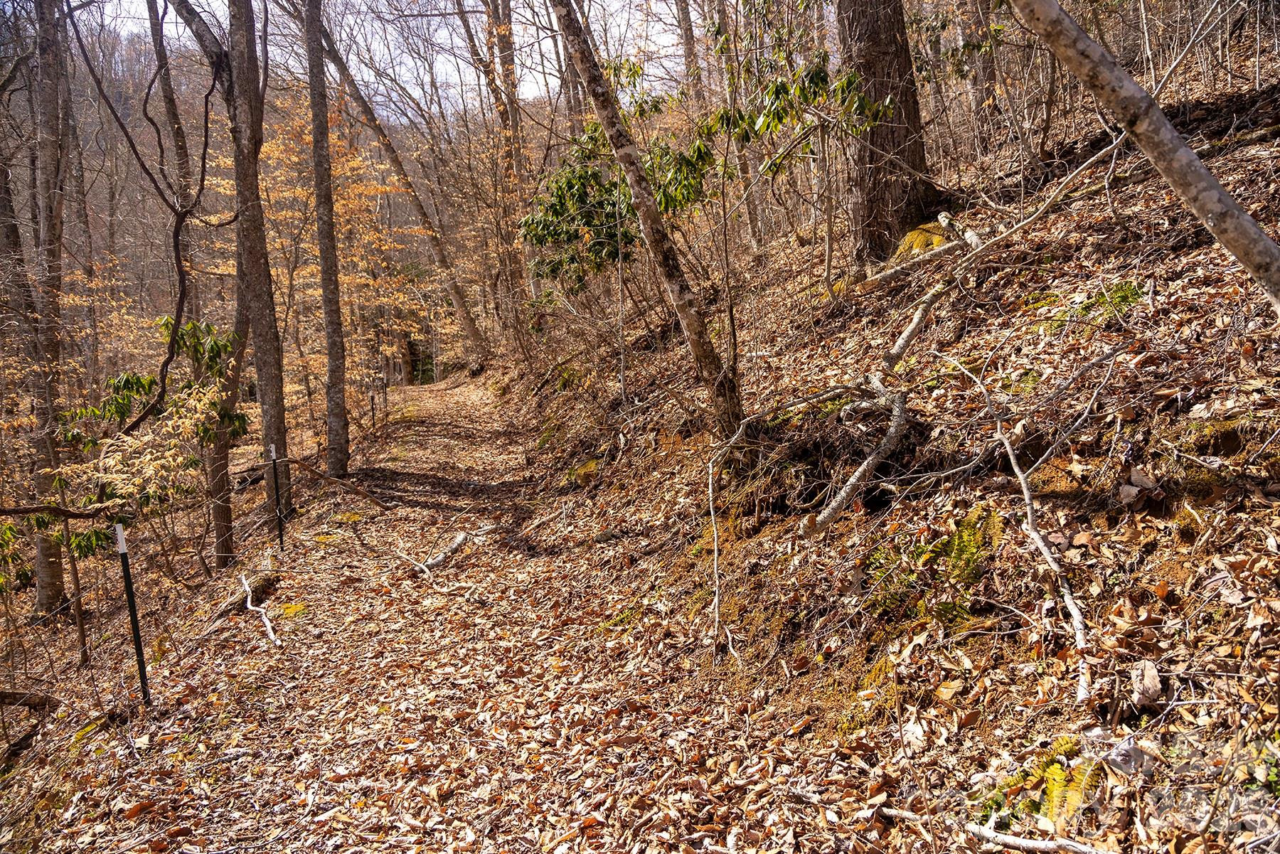 0000 Devils Knob Road - Photo 13