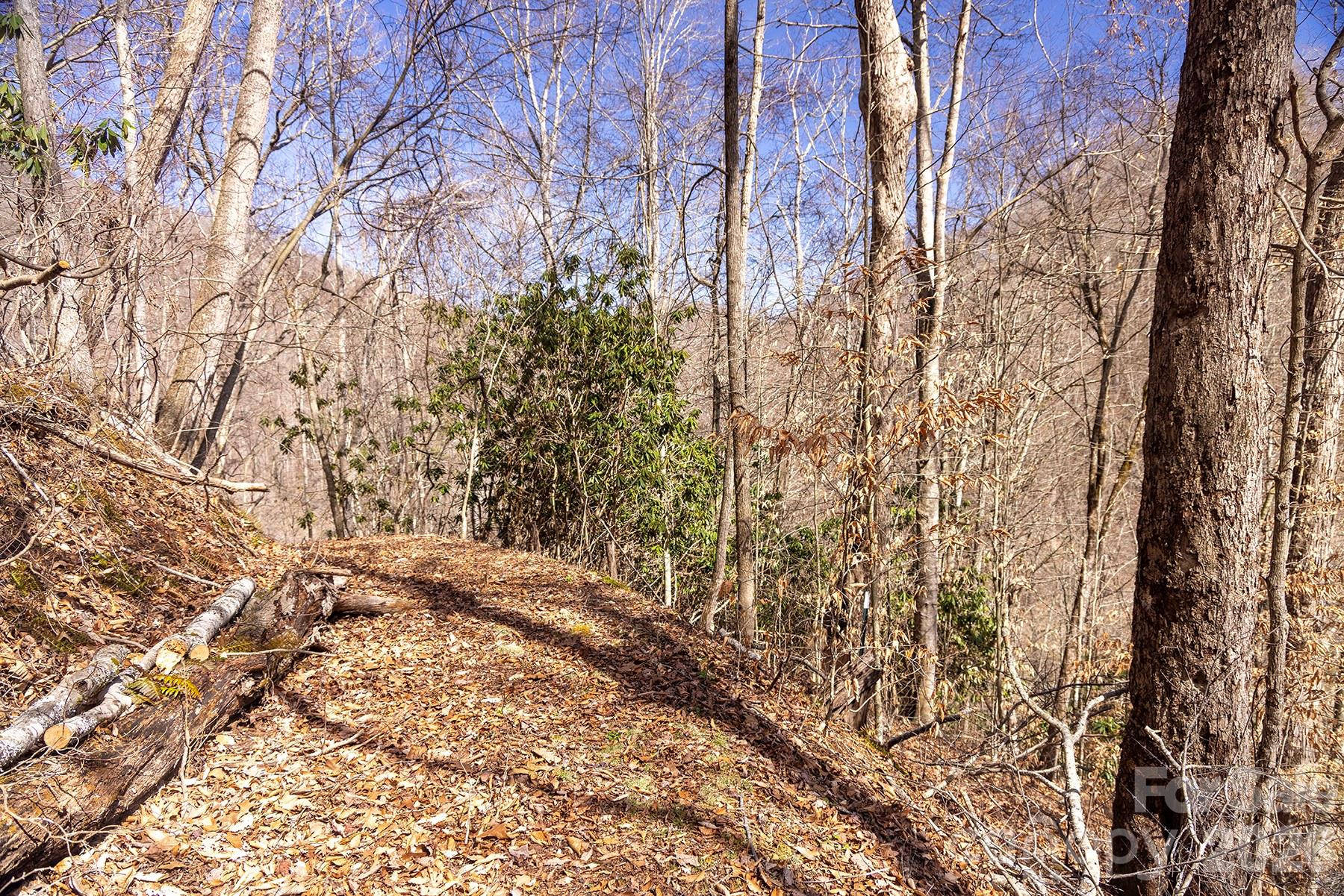 0000 Devils Knob Road - Photo 14