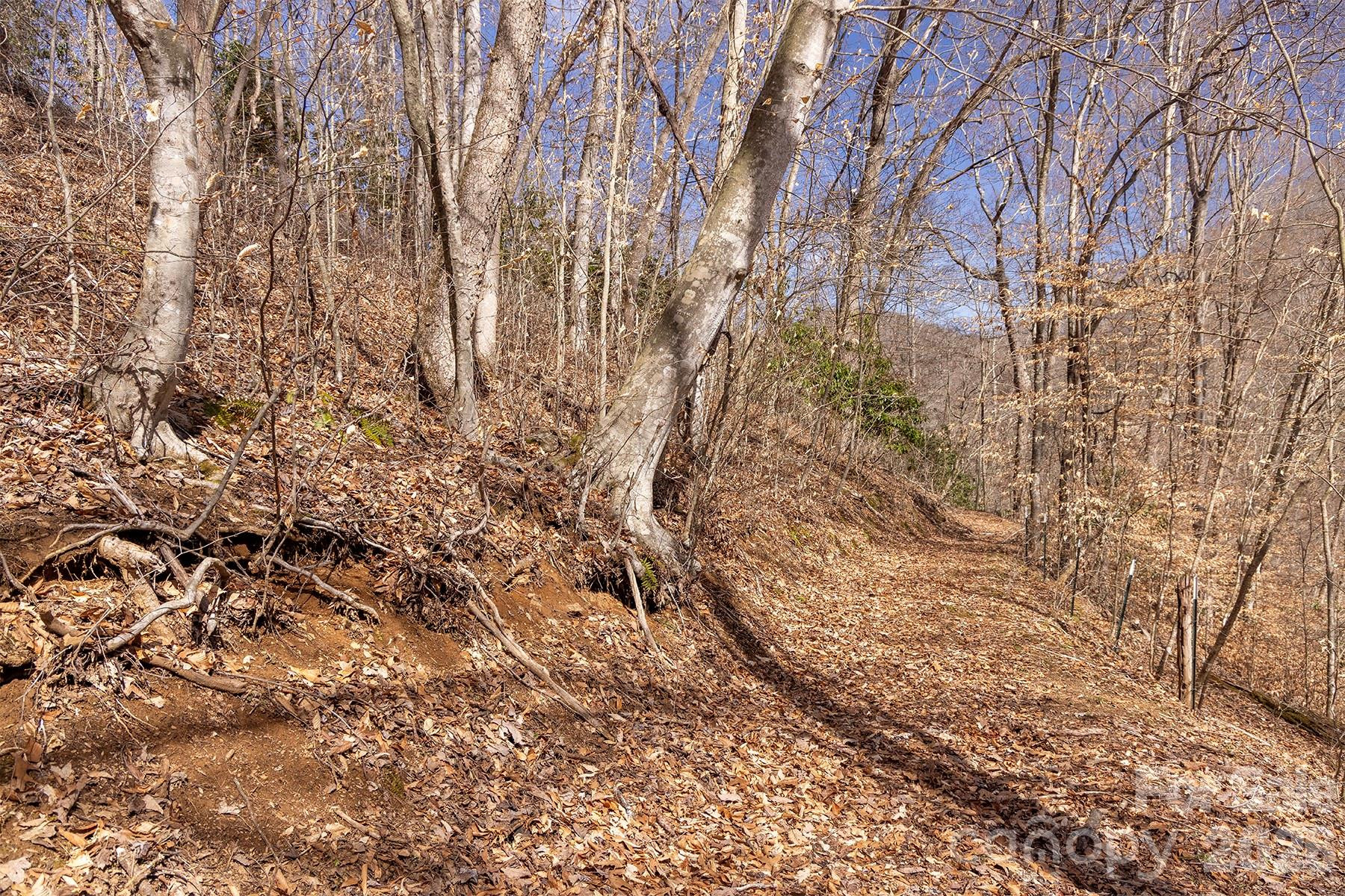 0000 Devils Knob Road - Photo 15