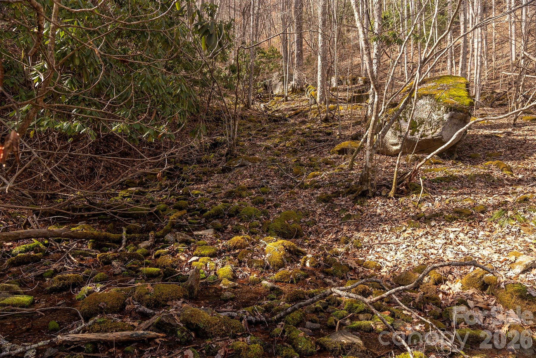 0000 Devils Knob Road - Photo 16