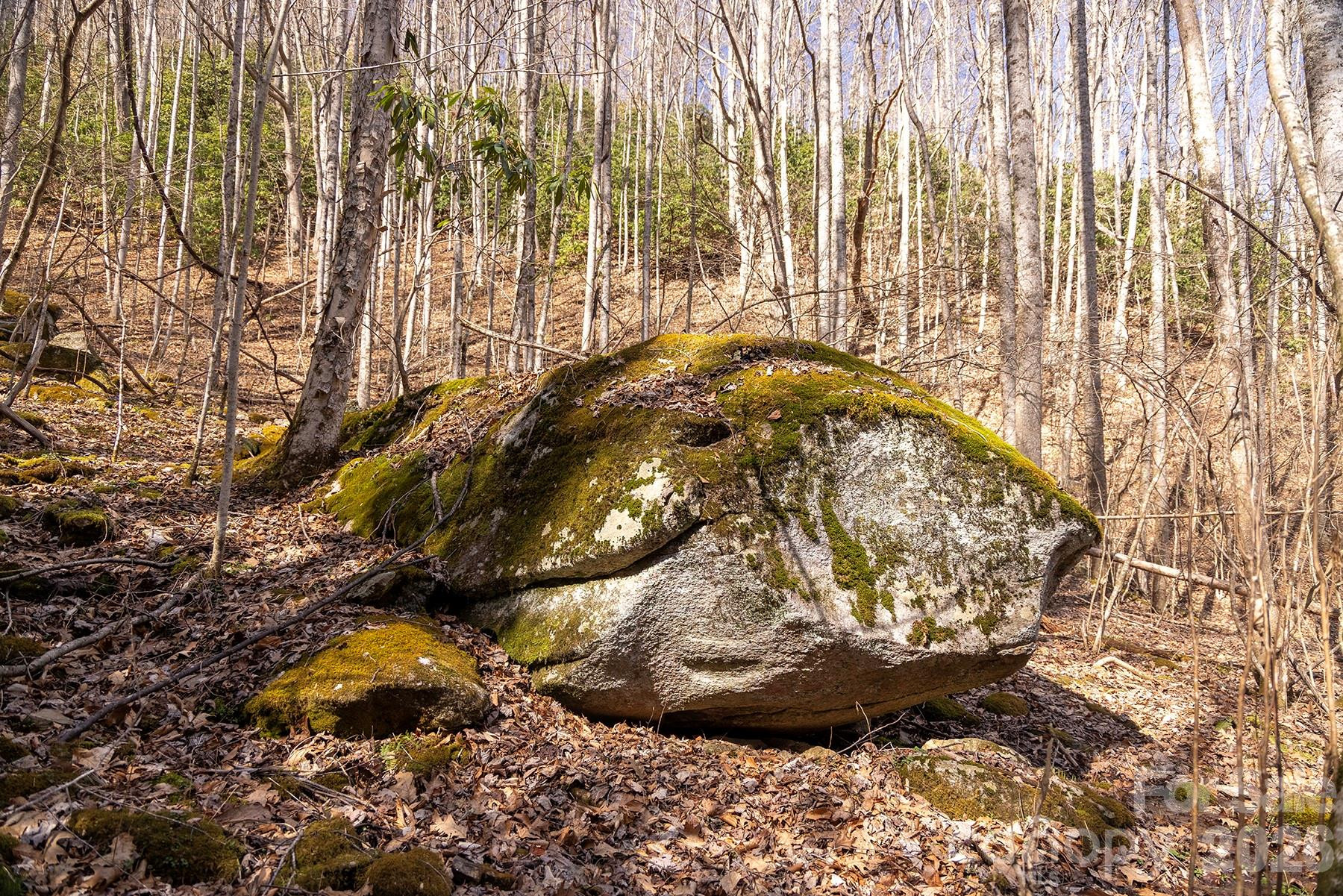0000 Devils Knob Road - Photo 17