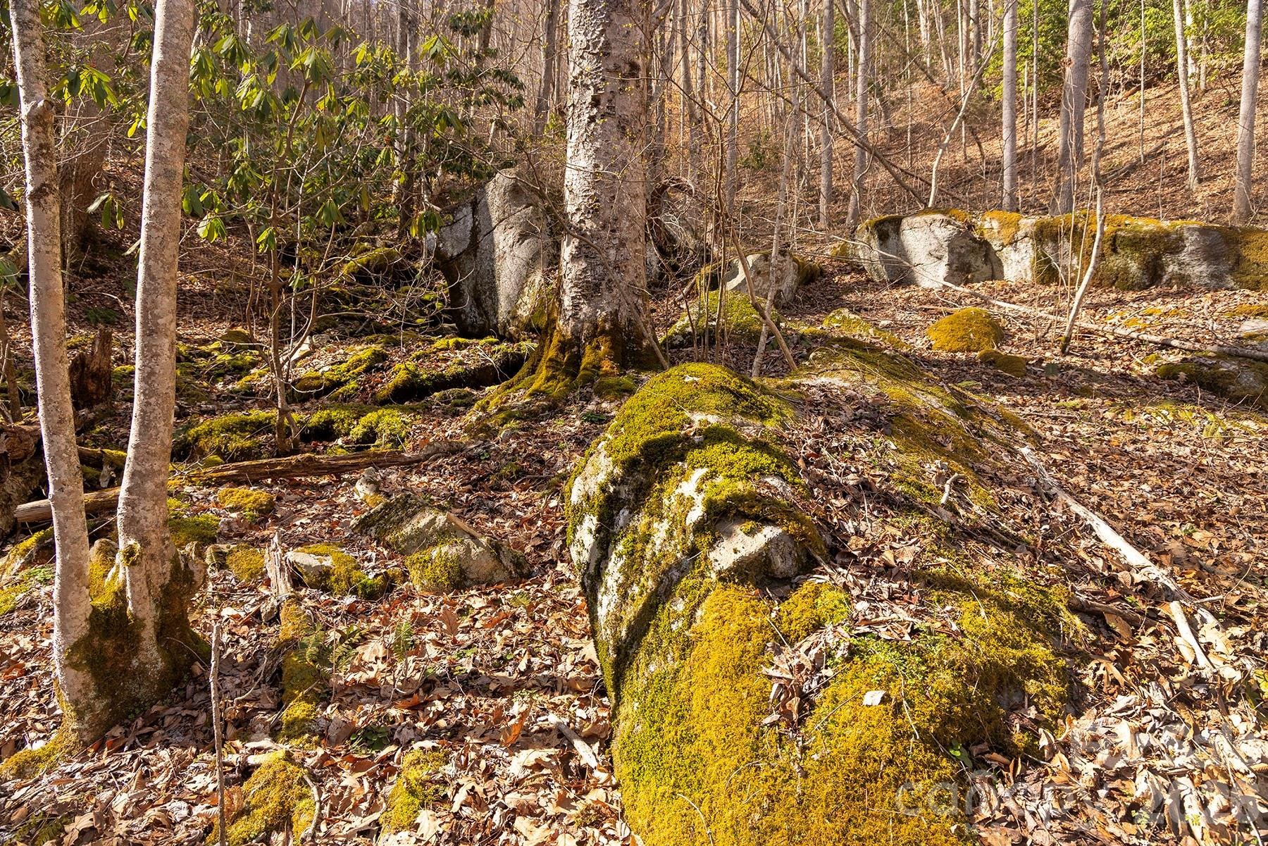 0000 Devils Knob Road - Photo 18