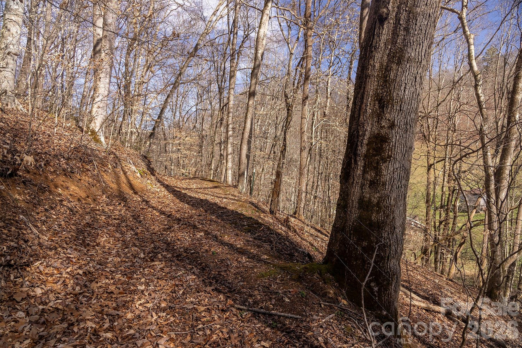 0000 Devils Knob Road - Photo 22