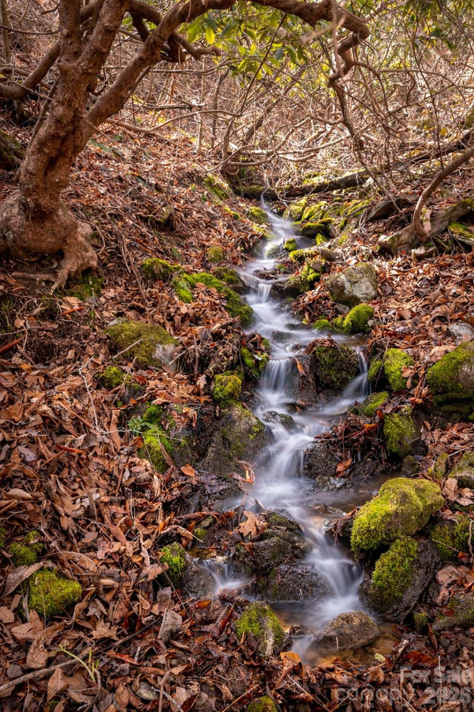 0000 Devils Knob Road - Photo 24