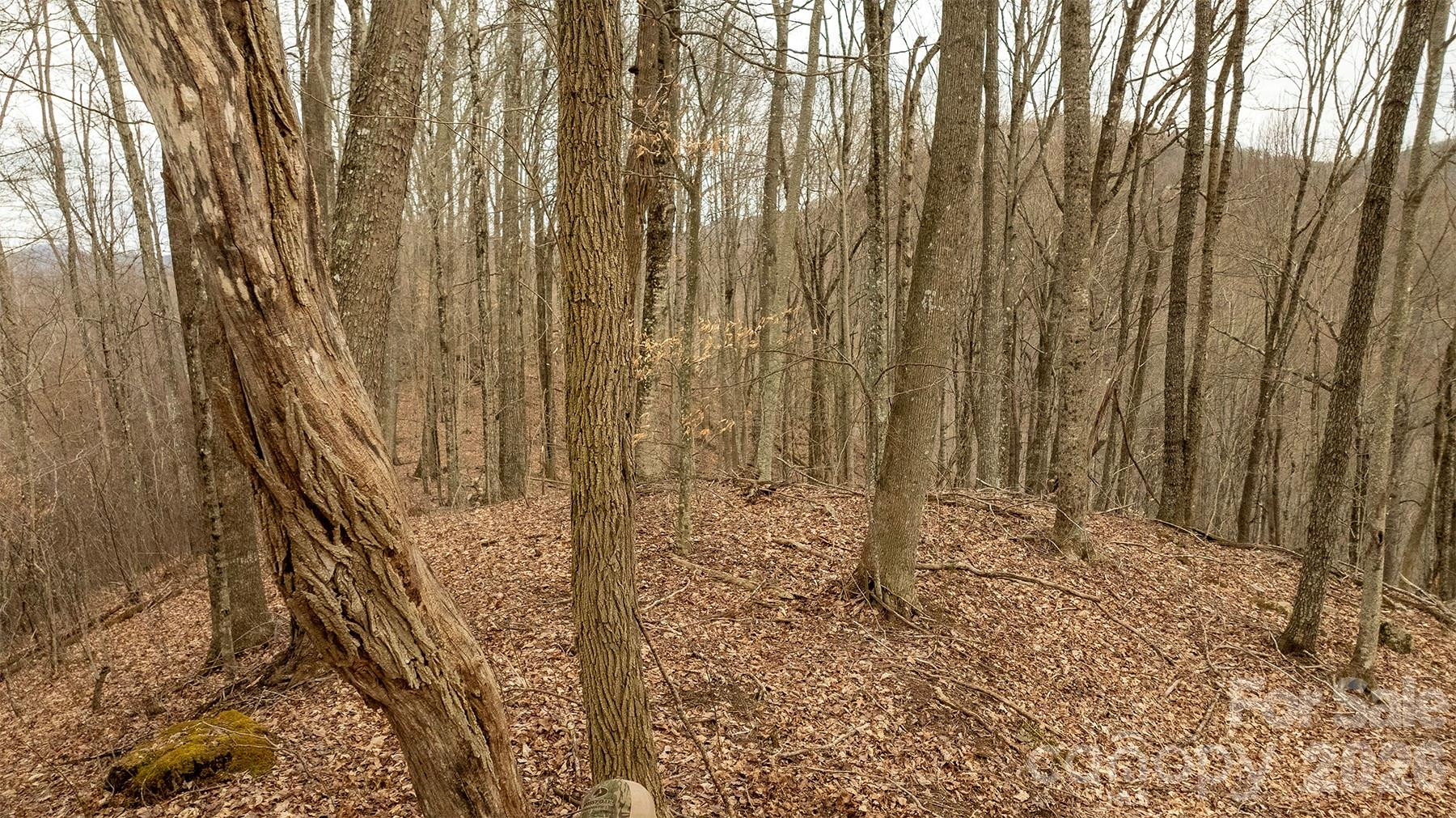 0000 Devils Knob Road - Photo 5