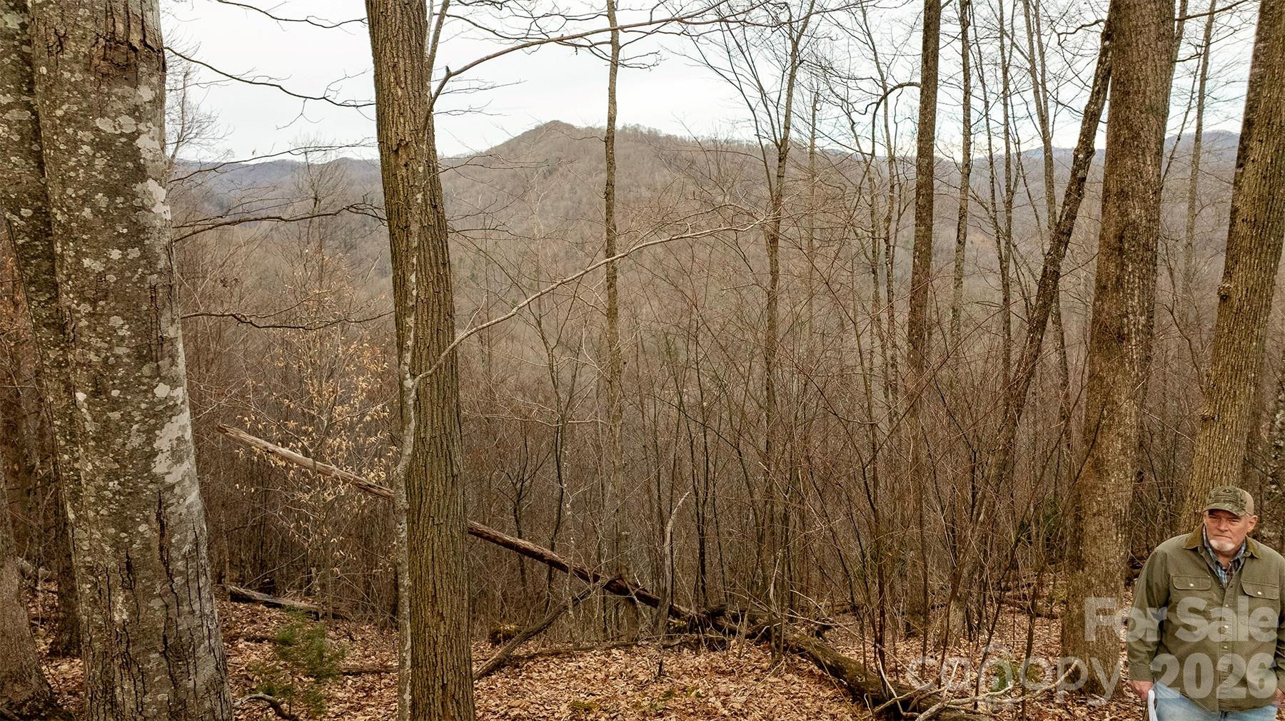 0000 Devils Knob Road - Photo 6