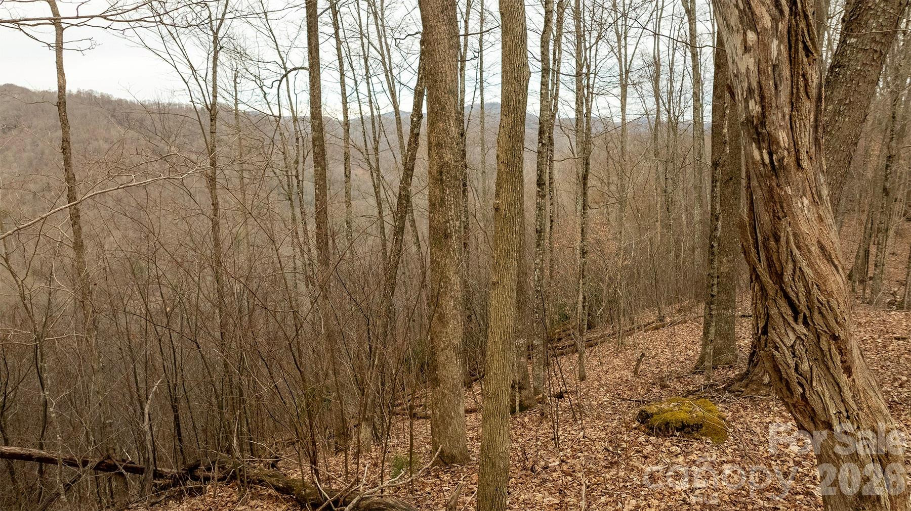 0000 Devils Knob Road - Photo 7