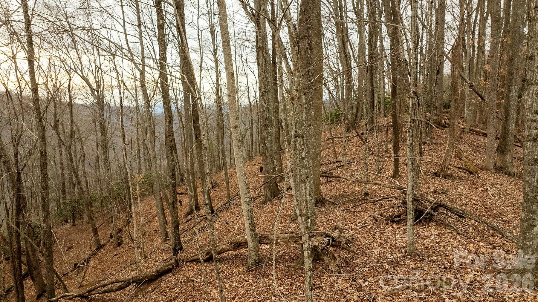 0000 Devils Knob Road - Photo 8