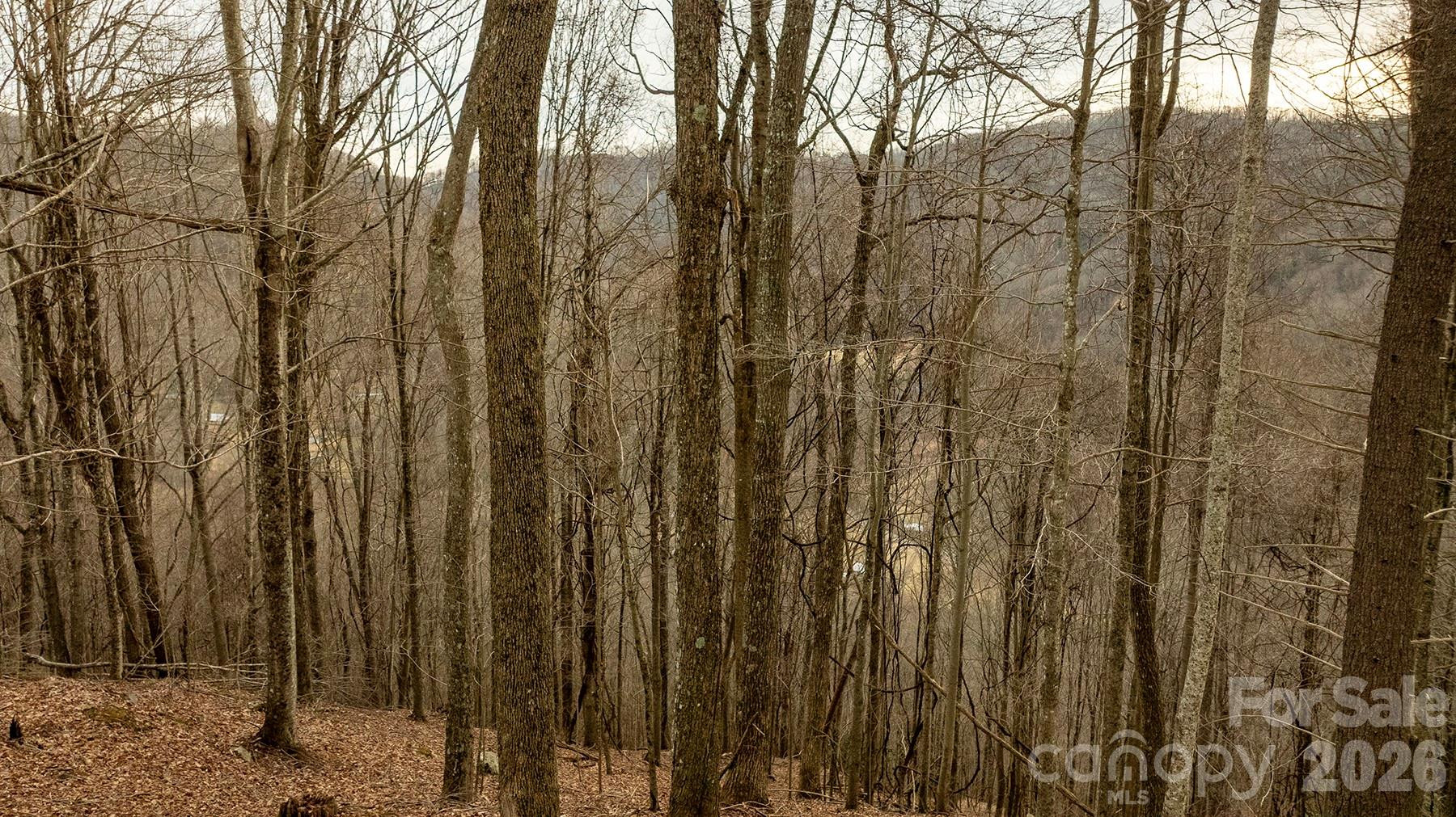 0000 Devils Knob Road - Photo 9