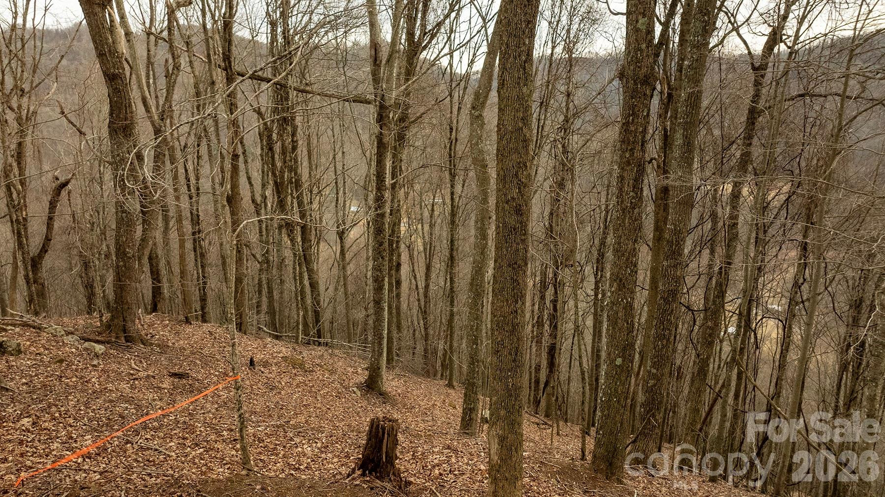 0000 Devils Knob Road - Photo 10