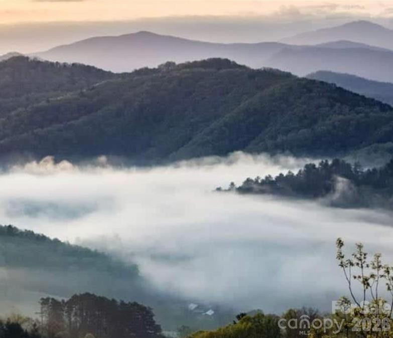 Lot E6 Unula Loop #E6 - Photo 2