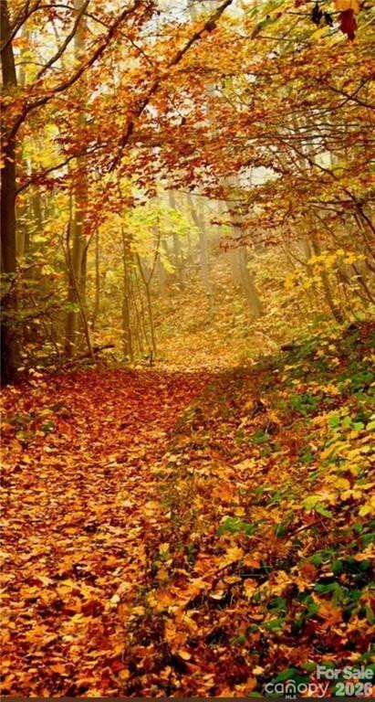 Lot E6 Unula Loop #E6 - Photo 4