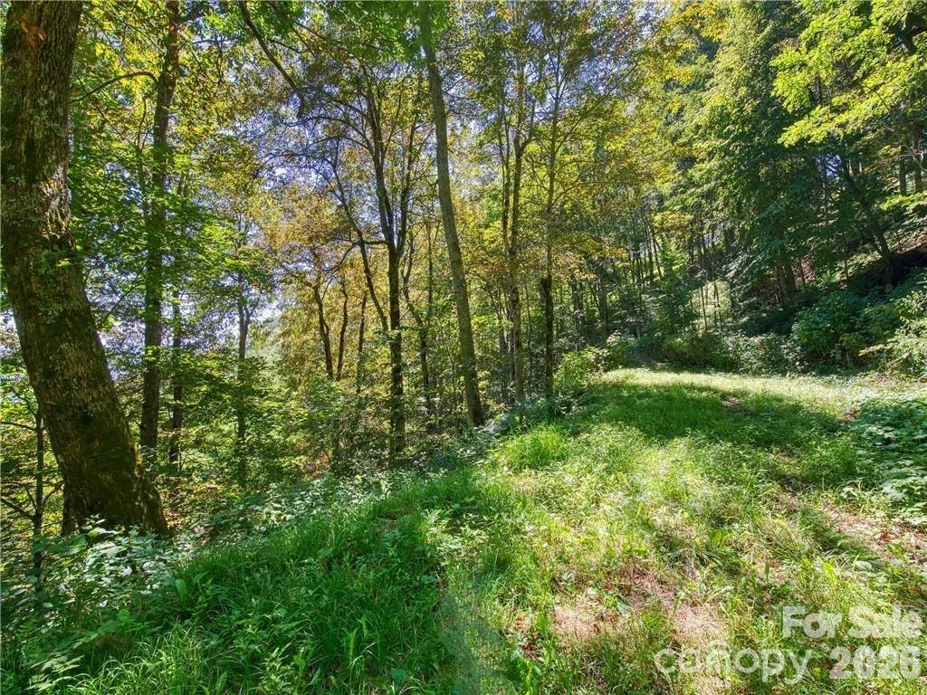 Lot E6 Unula Loop #E6 - Photo 6