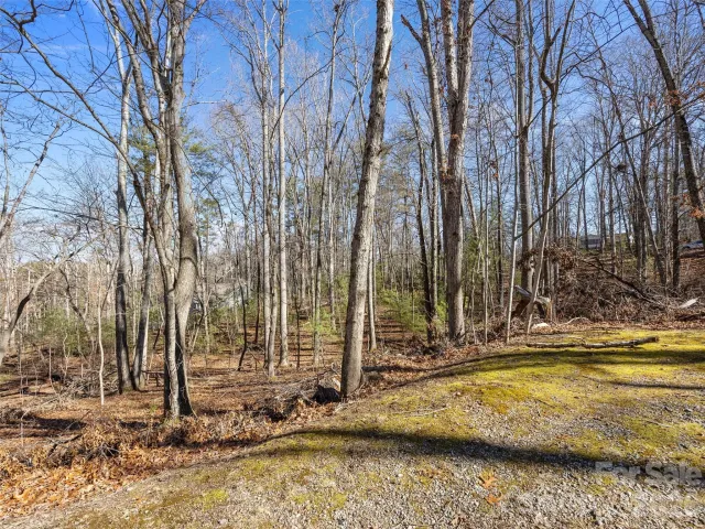 Lot 7 Mountain Heritage Place, Candler, NC, 28715