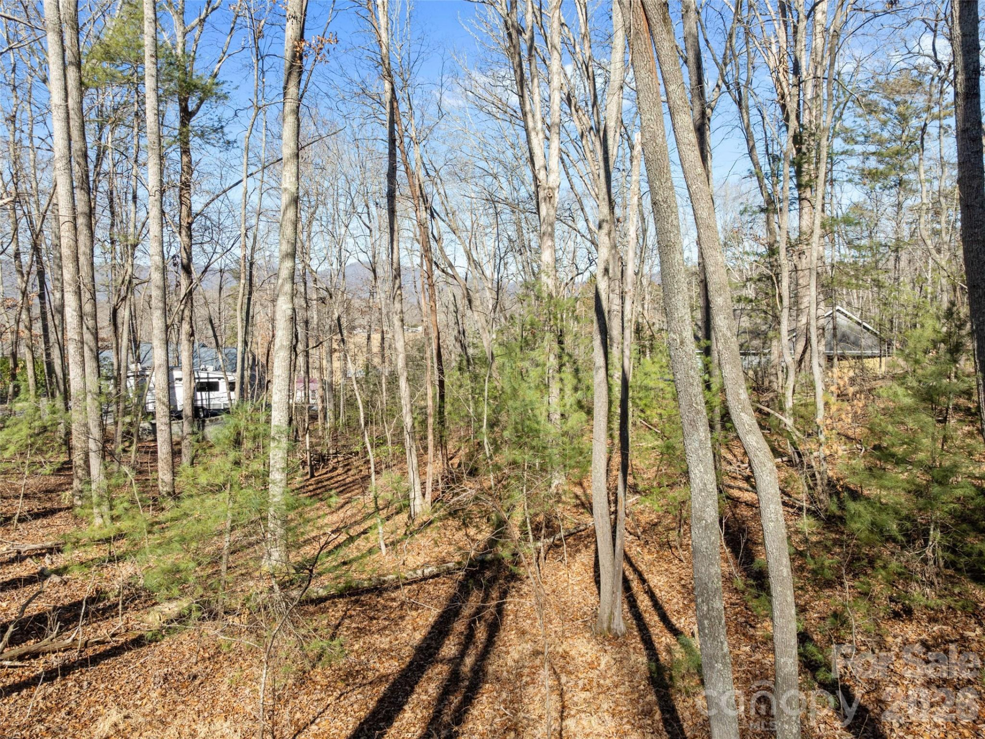 Lot 7 Mountain Heritage Place - Photo 4