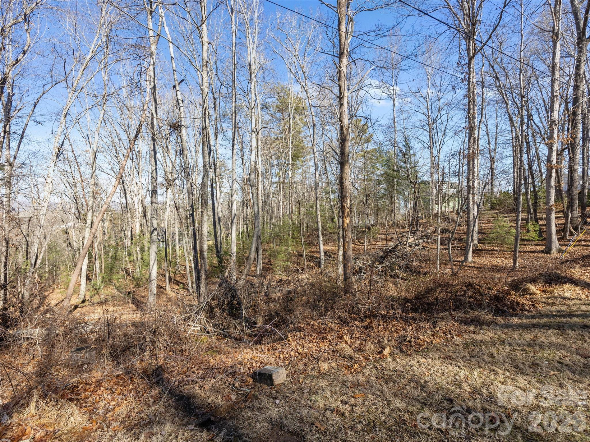 Lot 7 Mountain Heritage Place - Photo 6