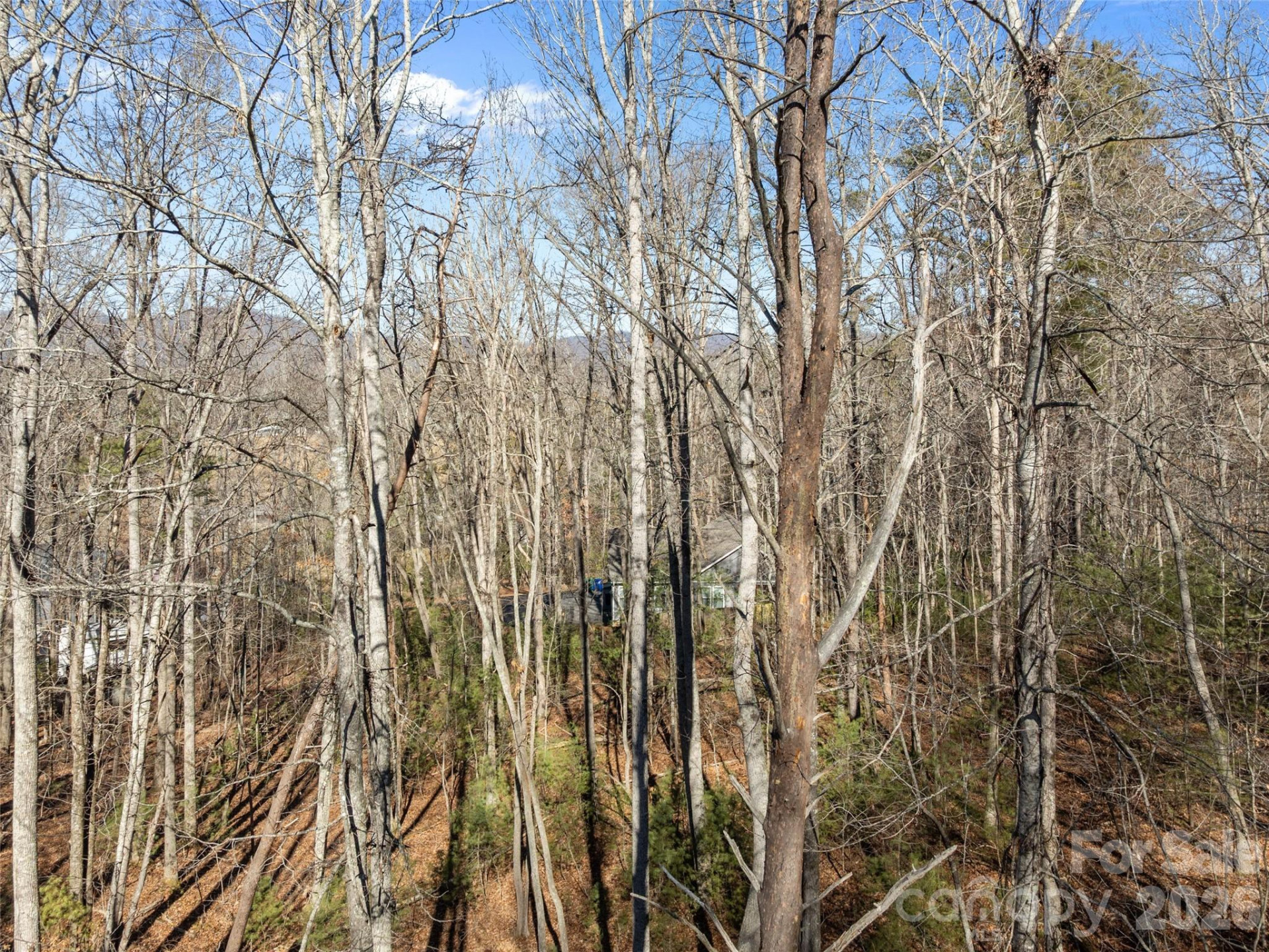 Lot 7 Mountain Heritage Place - Photo 7