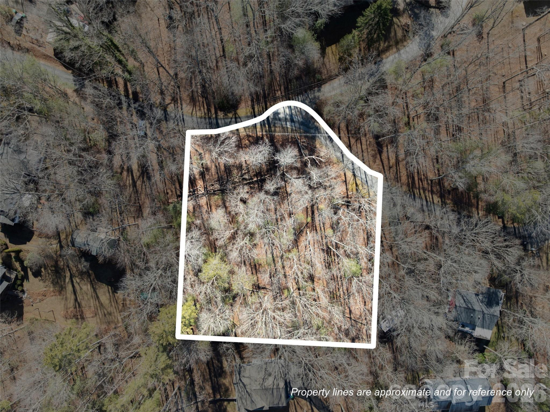 Lot 7 Mountain Heritage Place - Photo 8