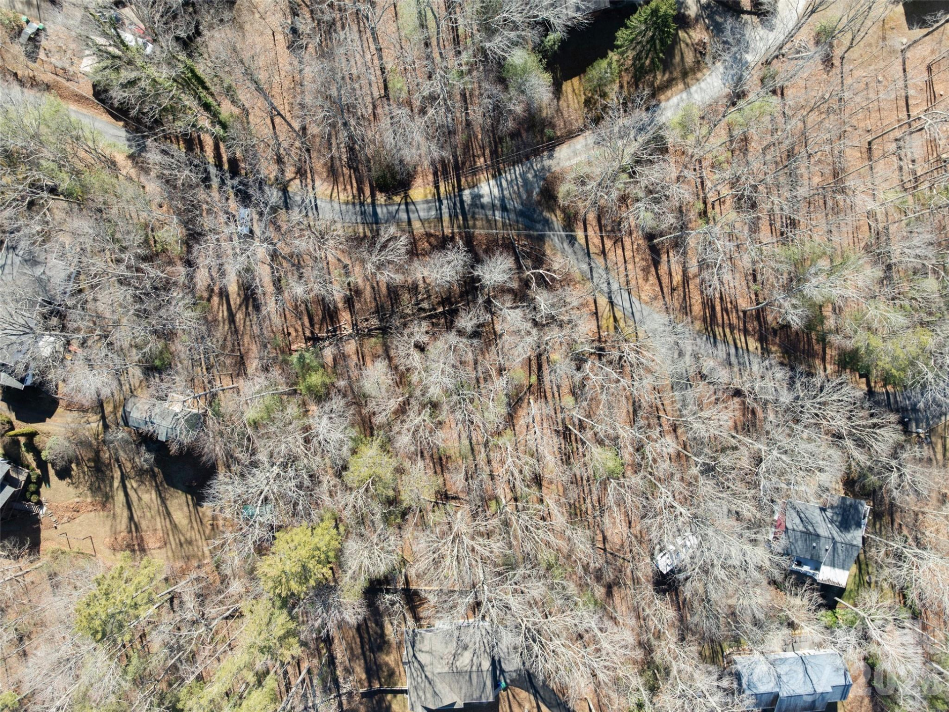 Lot 7 Mountain Heritage Place - Photo 10