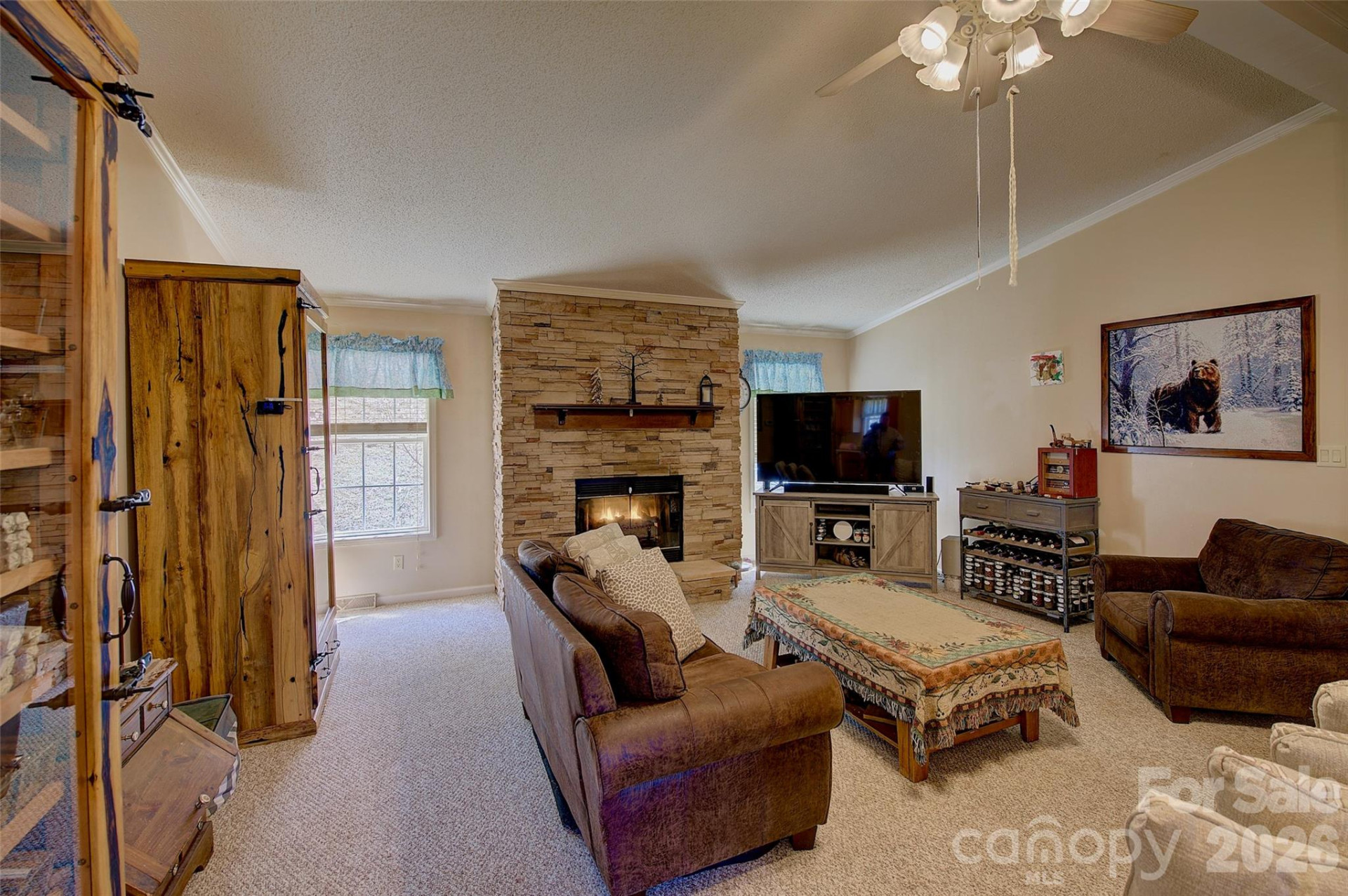 3 Altapass Trail - Photo 14