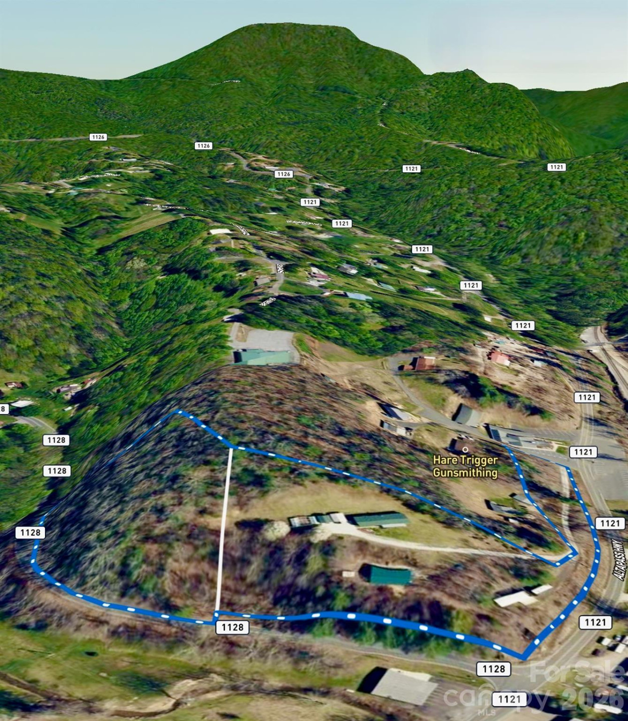 3 Altapass Trail - Photo 37