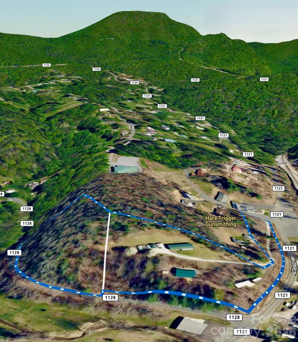 3 Altapass Trail - Photo 40