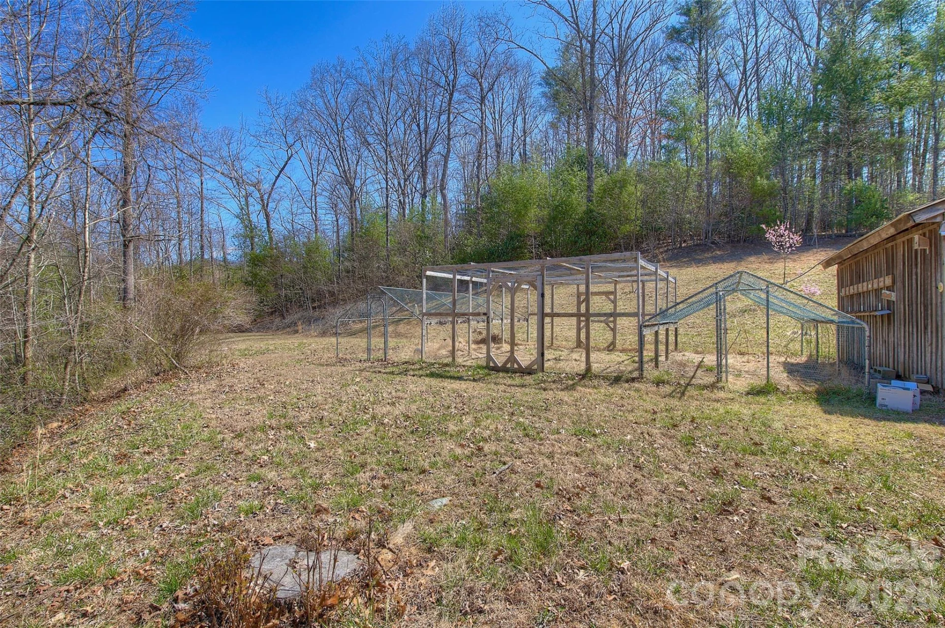 3 Altapass Trail - Photo 10