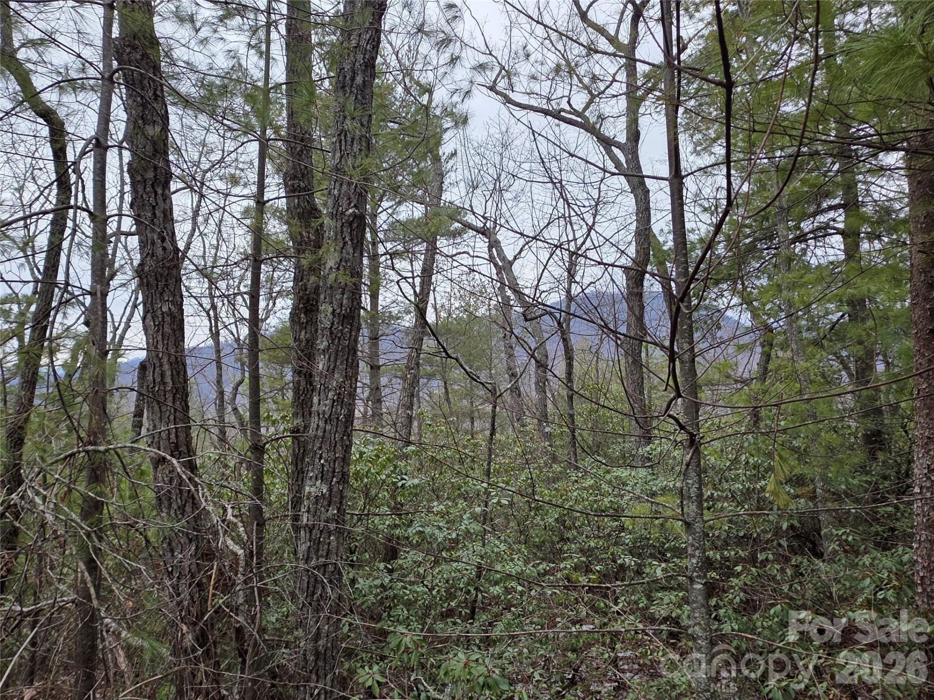 Lot 24A-28A Quail Drive - Photo 3