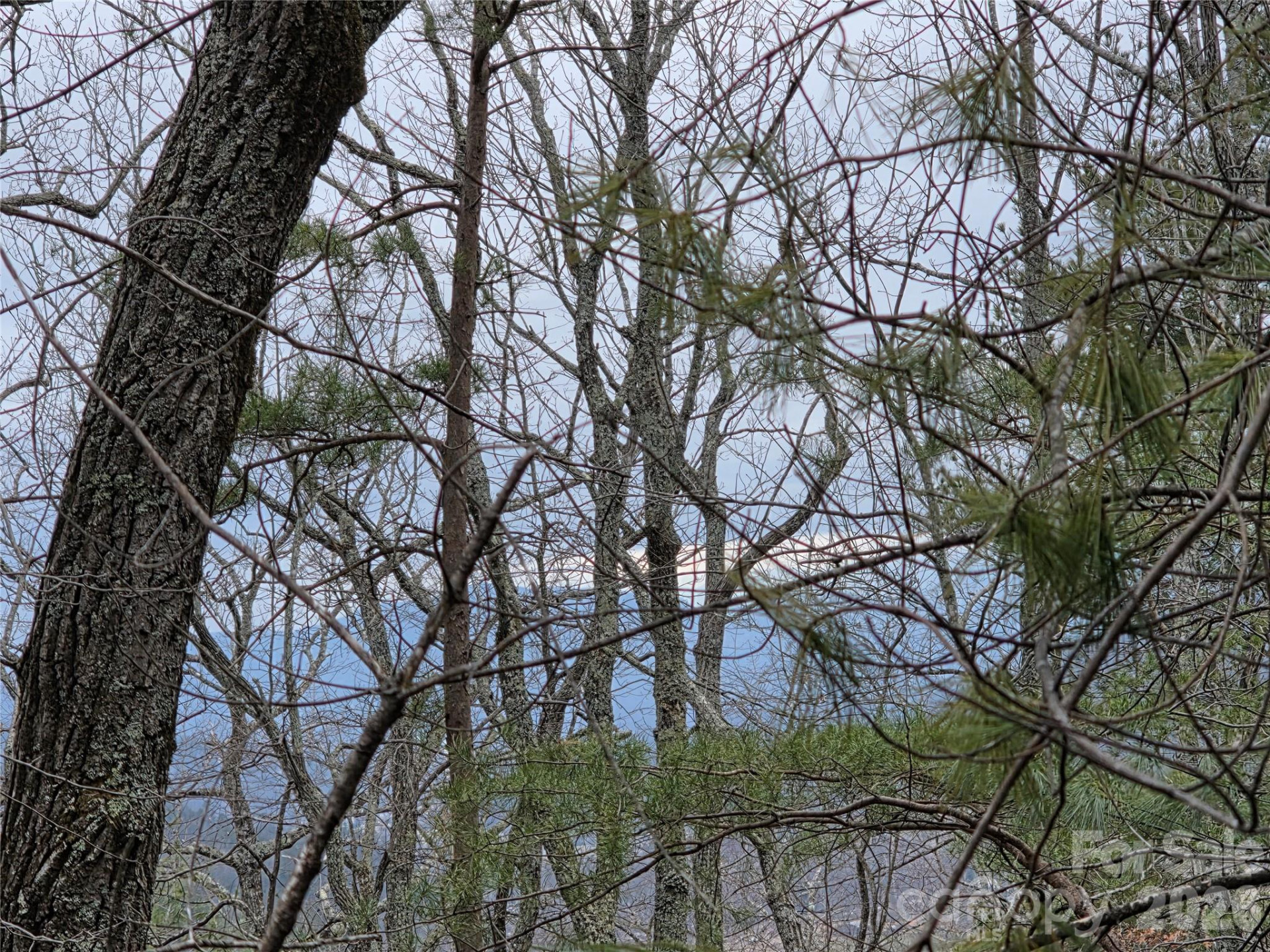 Lot 24A-28A Quail Drive - Photo 5