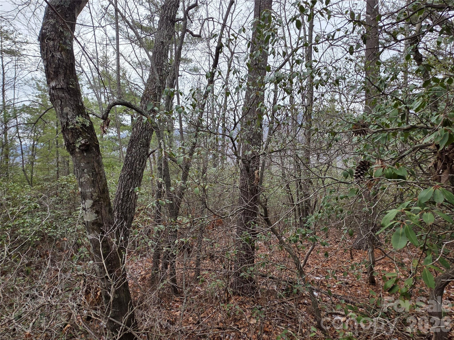 Lot 24A-28A Quail Drive - Photo 6